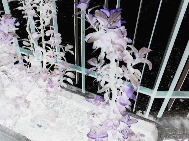 E' sempre la stessa realtà