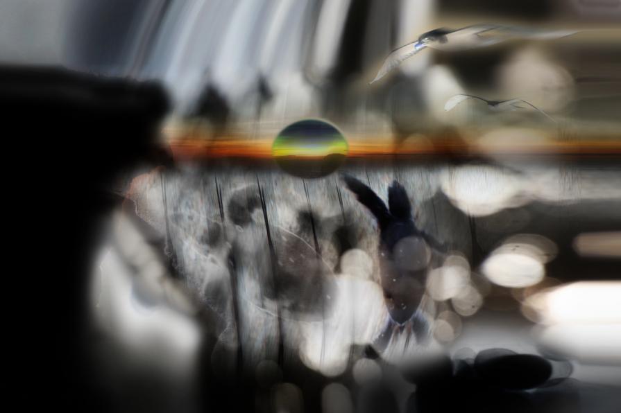 scappate salvatevi . scappate salvatevi .