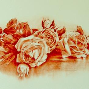 Gianfranco Castelli - Rose 