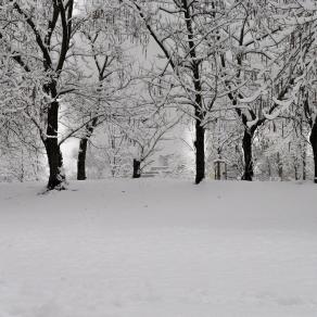 In attesa del Bianco