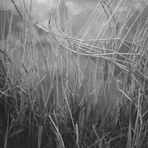 Between Worlds Between Worlds