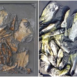 insalata che non ricordo il nome insalata che non ricordo il nome