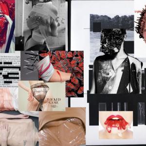 Swan series moodboard Swan series moodboard