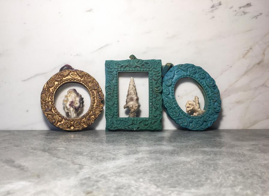 Memento Corallium-still life, still beautiful