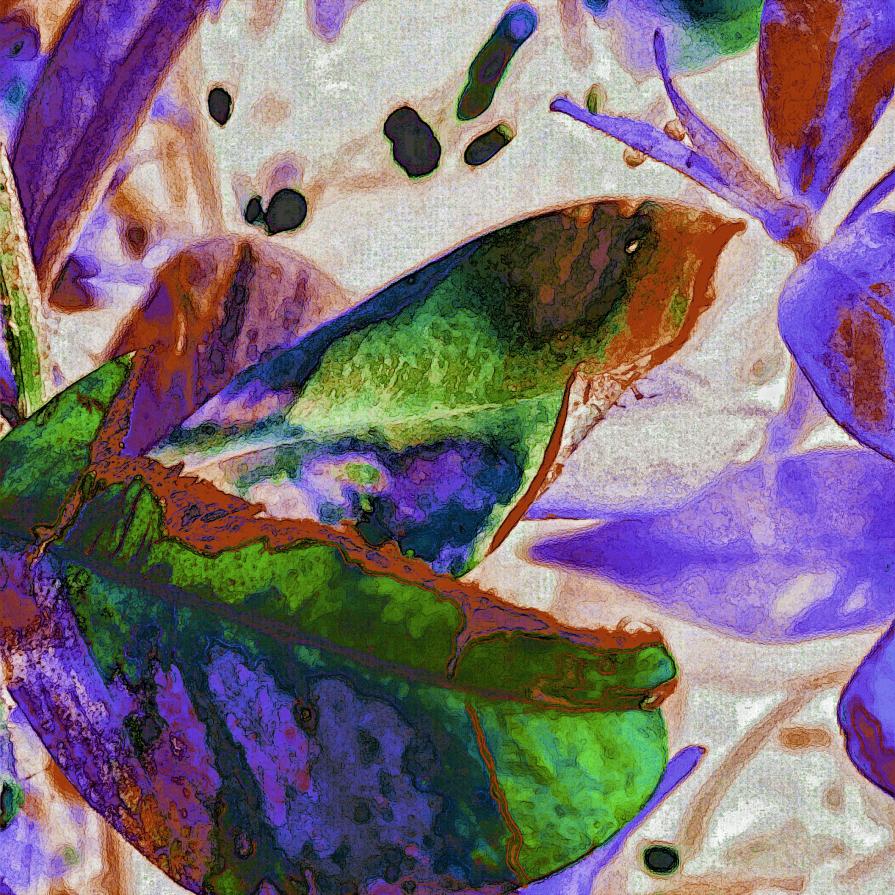 Sbirciando l'Altare delle Farfalle