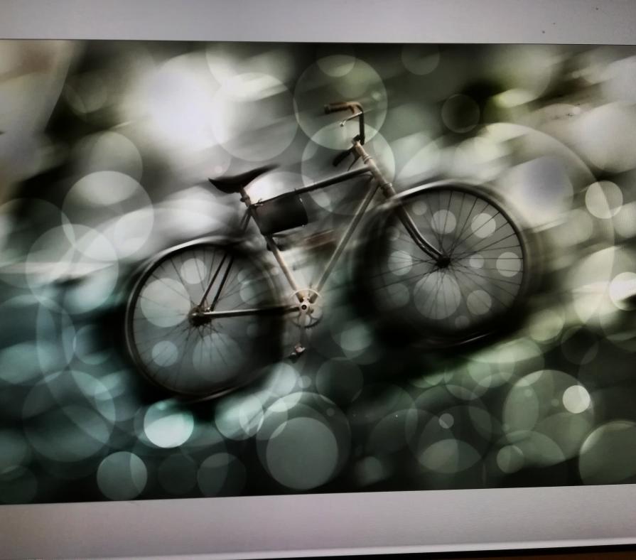 Hai voluto la bicicletta. Adesso pedala.