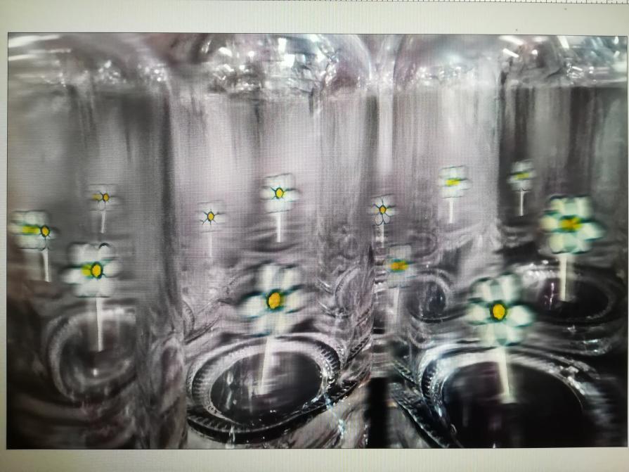 Brezza di primavera in bottiglia. 