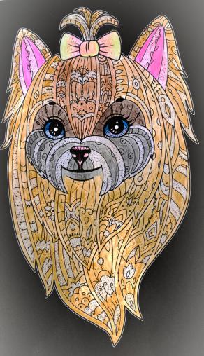 La paura di perderti...!!!