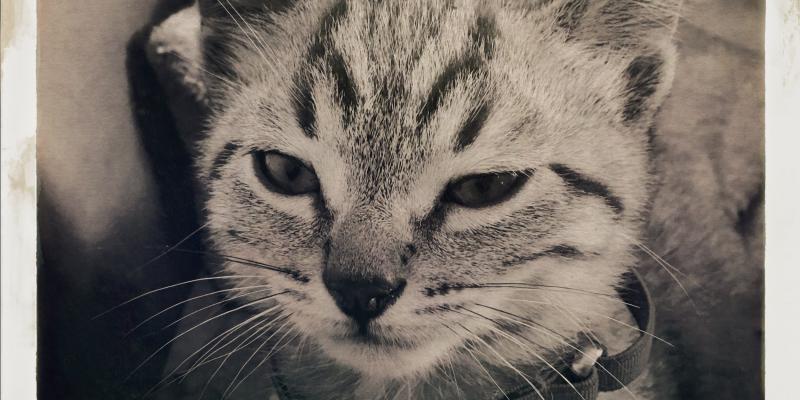 Diritto e privacy in fotografia Come tutelare l'immagine nella comunicazione  d'impresa e nell'informazione    Venerdì 2 e Venerdì 16 dicembre 2016 - ore 16.30/19.30 Centro Culturale Don Orione Artigianelli Dorsoduro, Campo S. Agnese 909/A - Venezia   CON