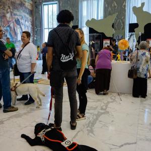 Inter-Azioni Giocose Inter-Azioni Giocose