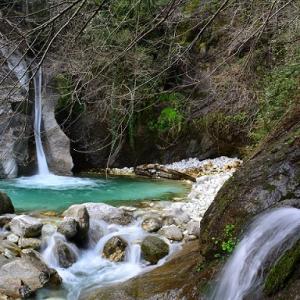 Biennale di Genova Biennale di Genova