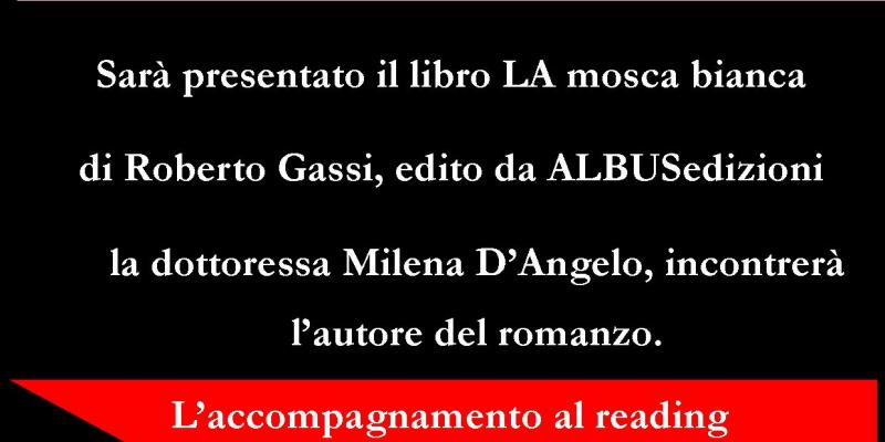 La mosca bianca di Roberto Gassi -finissage-ABSTRACT SYN-TAXIS