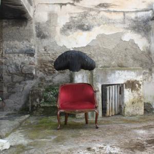 "The Celeste Choice" - Group Sow "The Celeste Choice" - Group Sow