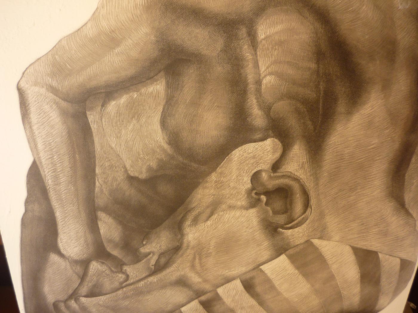 RI-TRATTO .... I SETTE VOLTI, AD OLIO E NON SOLO, PER YUMA di Pasquale Russo Maresca Queretaro Mexico 