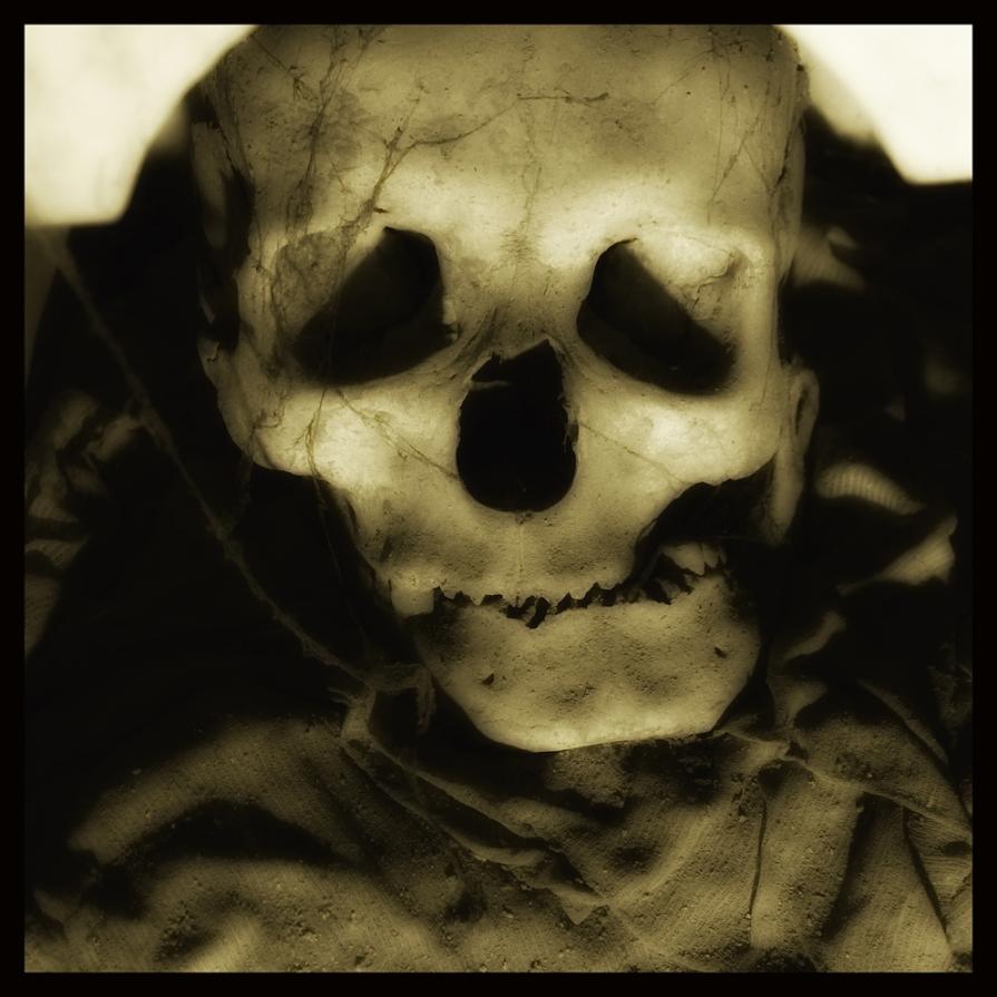 SKULLS 11 - Augusto De Luca photographer