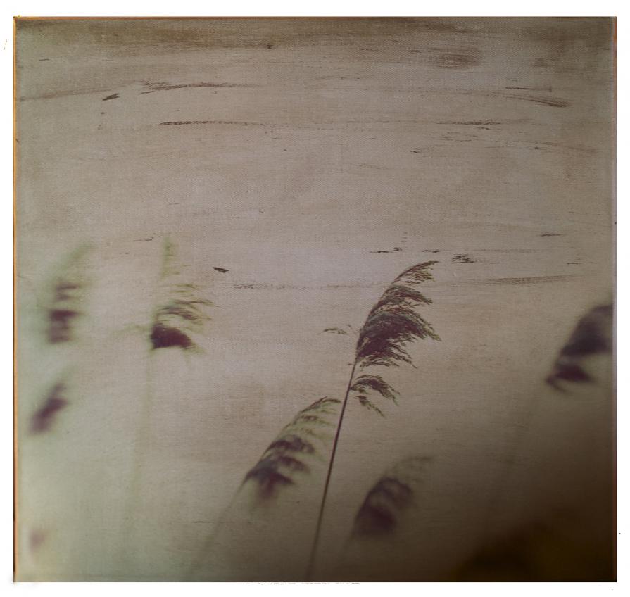 Winter wind and snow