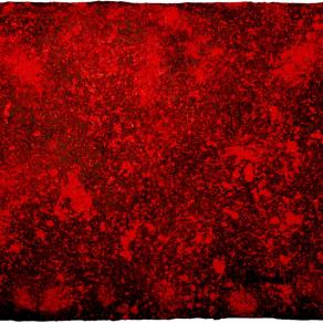 Carolina Benedetti - Ultima via di fuga