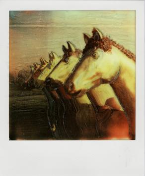 horses 3