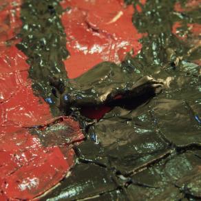 Idyllic Disaster particolare4