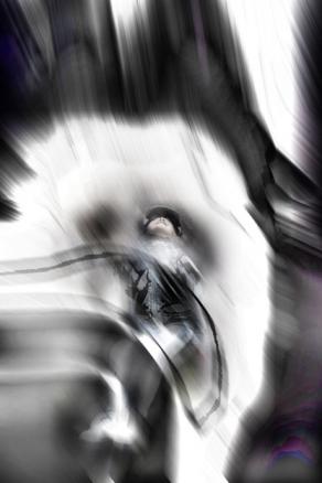 prigioniera ma con un sguardo verso l'alto.