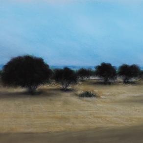 Luce d'estate nella campagna iblea