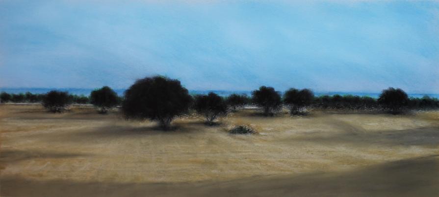 Luce d'estate nella campagna iblea