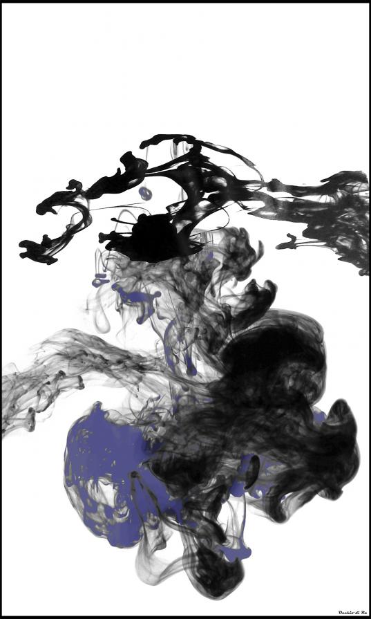 Il Corsaro - AlternativeVision