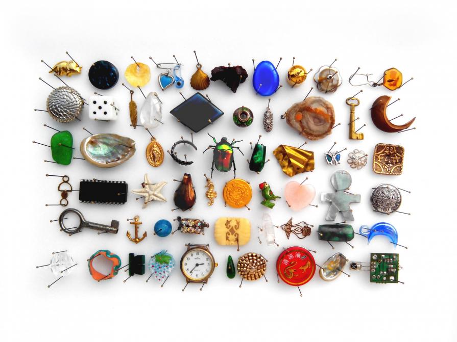 Collezione di una gazza ladra