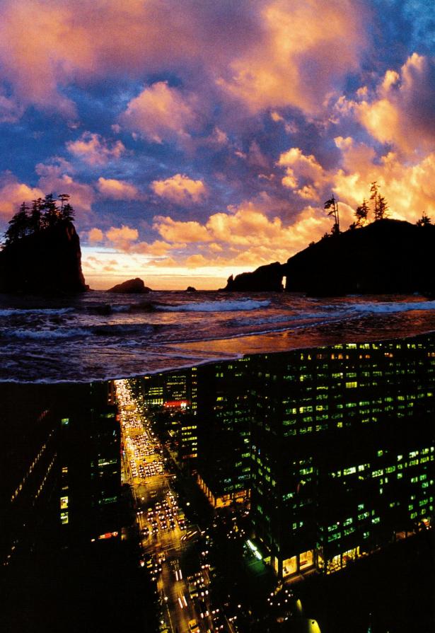 I'm a fucking bipolar but don't forget that sunset