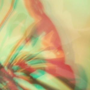 I colori della biodiversità -2015