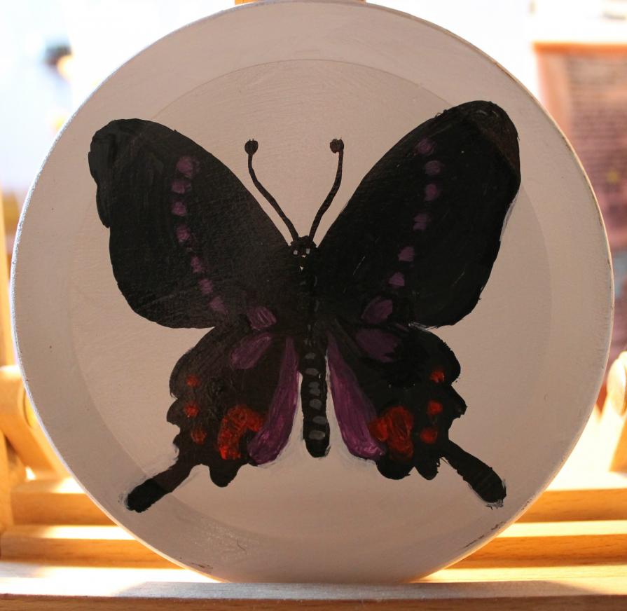 Papilione Fluminense