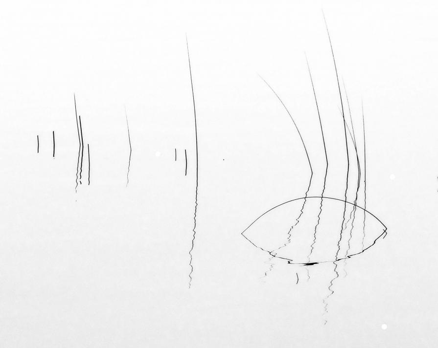 " IL  SILENZIO  E  LA  SUA  POESIA "