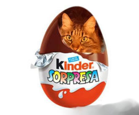 un tempo felice, un tempo felice !!!