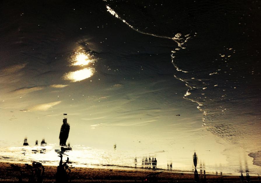 l' isola dei conigli (serie fotografica di 10 opere)/ the island of rabbits (series of 10)