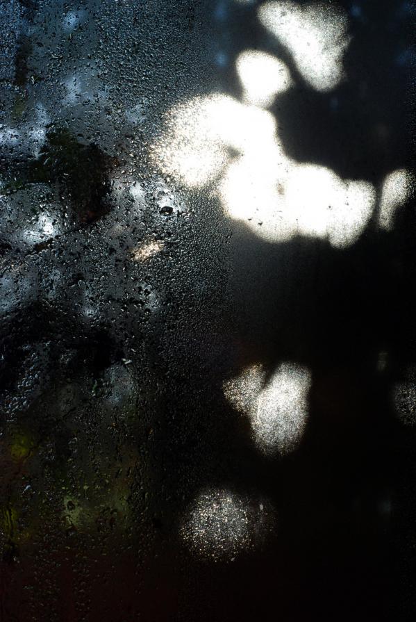 attraverso la finestra 5