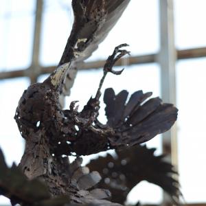 precipitazioni, particolare