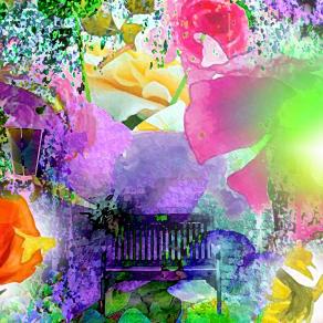 Ogni fiore che sboccia ci ricorda che il mondo non è ancora stanco dei colori...!!!