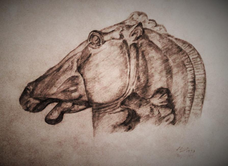 studio per cavallo(a matita)