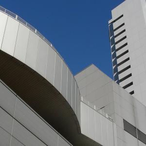 Japan. Tokyo lines / skyline