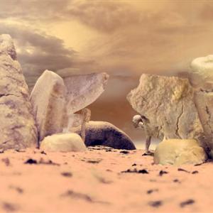 Naturacultura - Snaturati Naturacultura - Snaturati