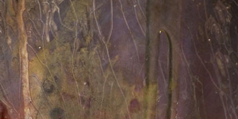 Mostra PASSE-PARTOUT Mostra PASSE-PARTOUT