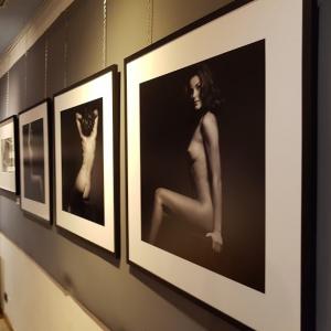 INTERNATIONAL ART EXPO "MISCELLANEOUS ART" INTERNATIONAL ART EXPO "MISCELLANEOUS ART"