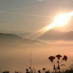 Pier Pietro Brunelli