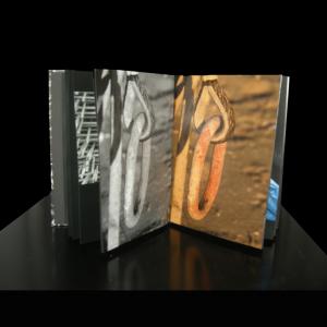 Bologna Artelibro 2011 -  the eighth edition  PINA DELLA ROSSA