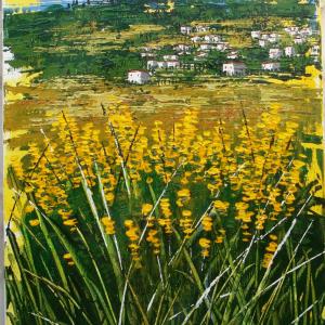 Il sorriso di Roberta per l’UNICEF - project “fight against infant and maternal mortality in Afghanistan”