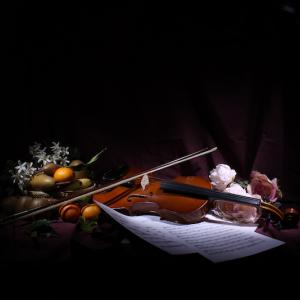 Musical Visions Musical Visions