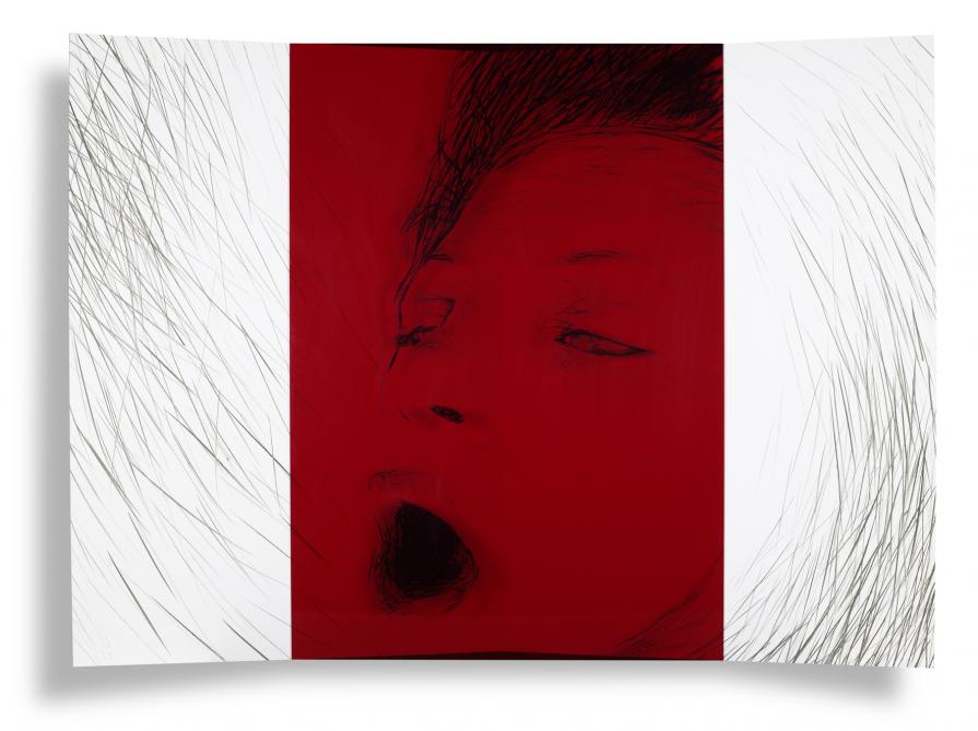 divina carne-volume2