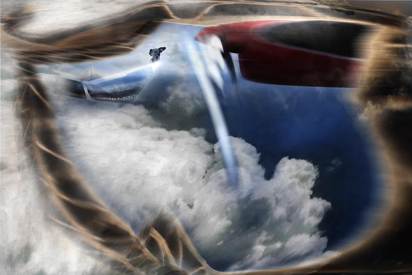 maurino in viaggio,un viaggio con maurino.