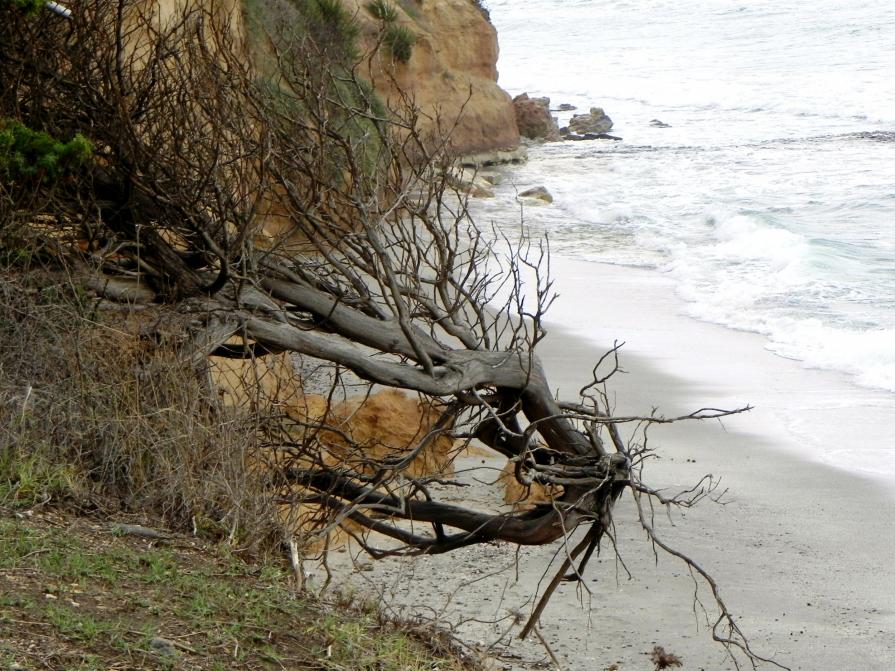 io resto qui io resto qui