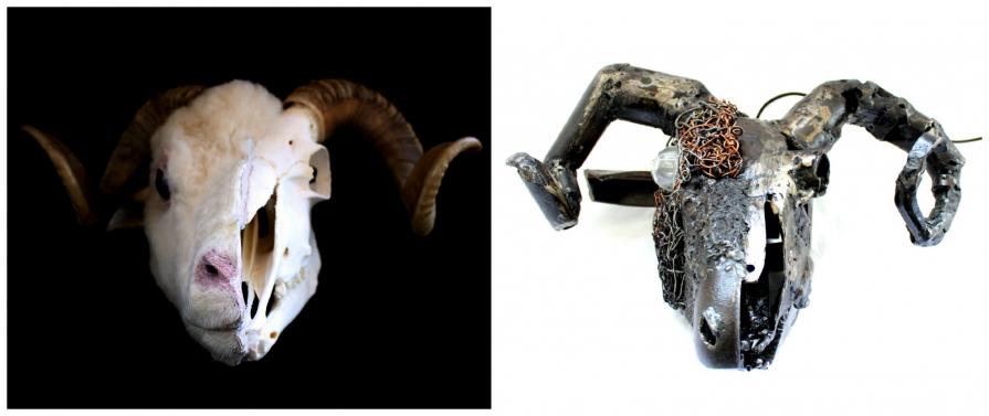 Anatomia Meccanica Ariete